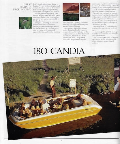 Four Winns 1989 Brochure