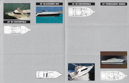 Phoneix 1990 Brochure
