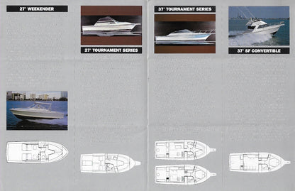 Phoneix 1990 Brochure