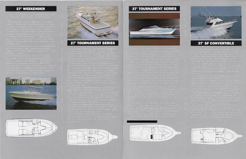 Phoneix 1991 Brochure