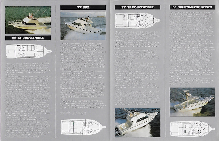 Phoneix 1991 Brochure