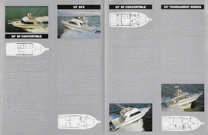 Phoneix 1991 Brochure