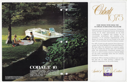 Cobalt 1975 Brochure