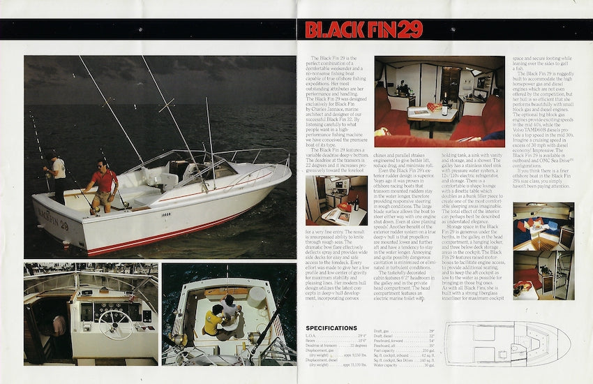 Blackfin 29 Brochure