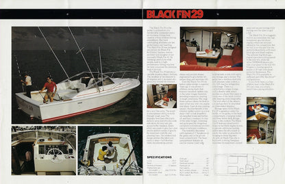 Blackfin 29 Brochure