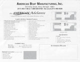 American Adelante Brochure