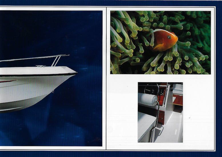 Elan GT 495 F Brochure