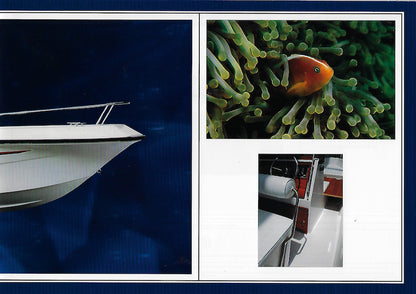 Elan GT 495 F Brochure
