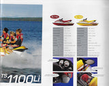 Arctic Cat 1999 Tigershark Watercraft Brochure