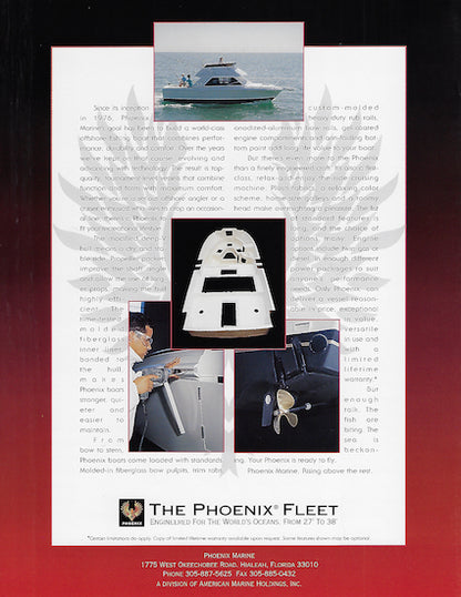 Phoenix 29 SFX Convertible Brochure