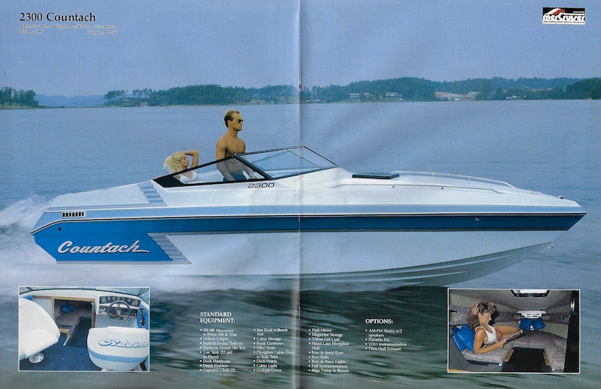 Raven 1989 Brochure
