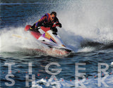 Arctic Cat 1995 Tigershark Watercraft Brochure