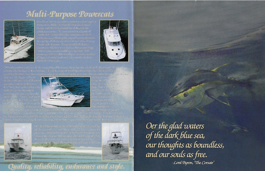 Benchmark 36 & 38 Express Brochure