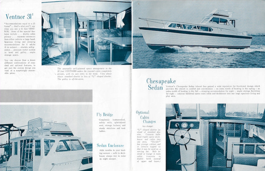 Ventnor 31 Brochure