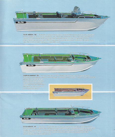 Blue Fin 1979 Brochure