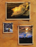 Hatteras 50 Convertible Brochure