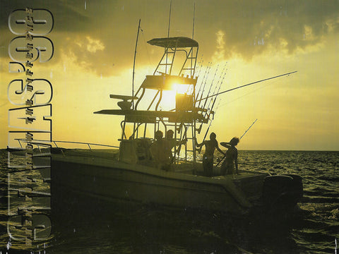 Stamas 1998 Brochure